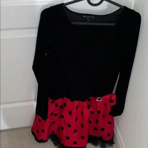 Ladybug girl Holiday special occasion  dress